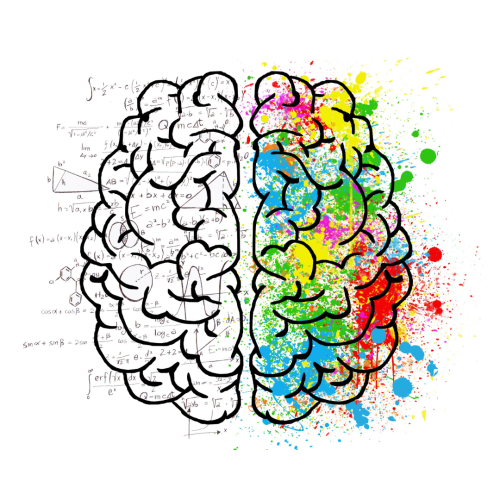 Neuroscienze e pratica educativa