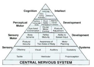 piramide-dell-apprendimento